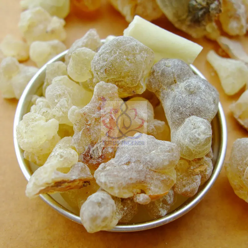 Natural Oman Frankincense Resin 50 Gram Organic PREMIUM NATURAL Tears