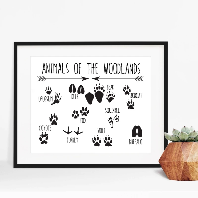 animal paws canvas print