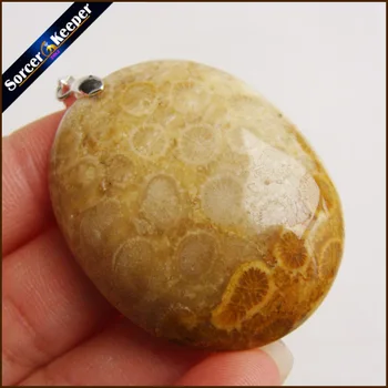 

New Trendy Men Bijoux Jewelry Natural Coral Fossil Stone Chrysanthemum Pendant Beads Fit Necklace Gift Leather Choker HS296