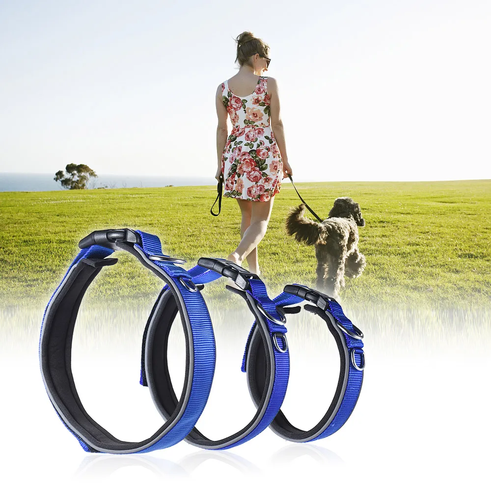 Strong Durable Dog Collar Dual D ring Nylon Fasten Tape Length