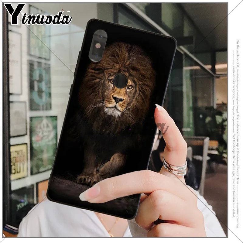 Animals The lion