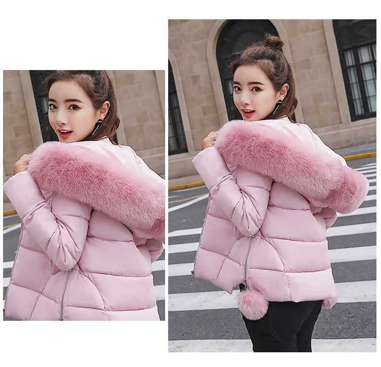 Cotton (22).jpg