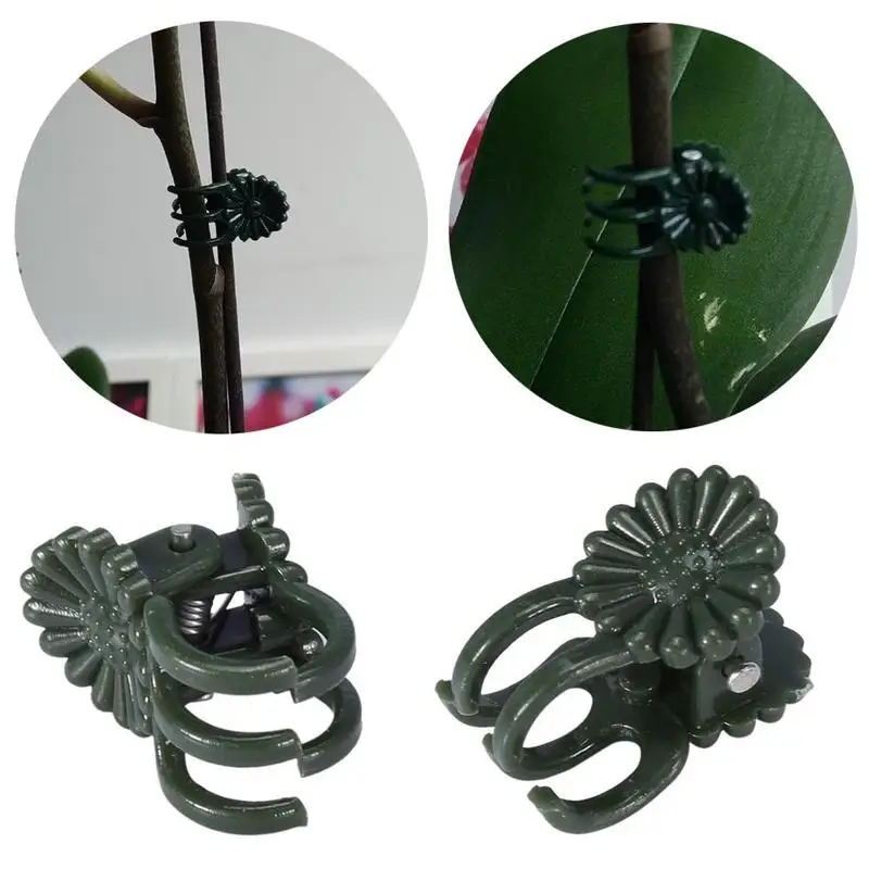 1/10/20Pcs Vine Plastic Clips Hanging Stems Decoration Orchid Stalks Fix Flower Grow Upright Grafting Tool Garden Plant Support