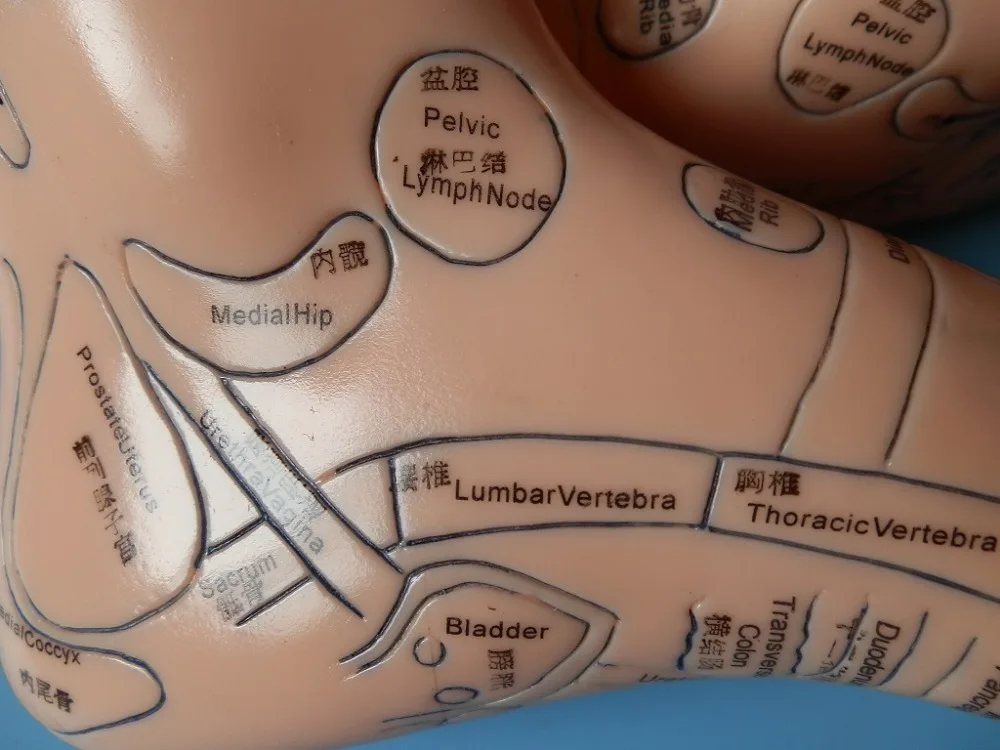 Массажная модель зоны рефлекса стопы 19 см не акупунктурная рефлексотерапия стоп