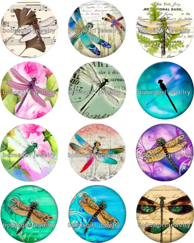 

dragonfly snap button Jewelry photo Round cabochon flat back Gl228