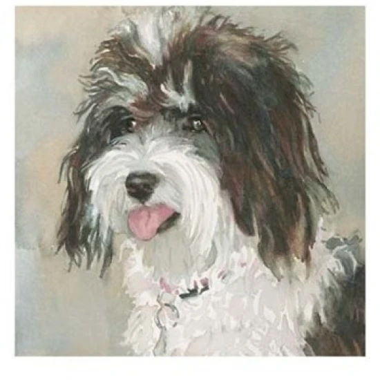 Neely Schnoodle Poster Print by Edie Fagan (13 x 19)