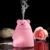 New Cartoon Bear USB Ultrasonic Air Humidifier Mini Essential Oil Aroma