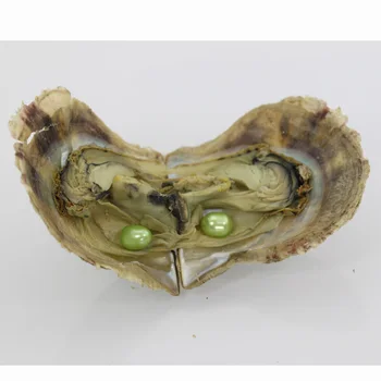 

Live party show Wholesale 20pcs Natural Akoya Oyster Mixed Color 6-7MM Pearl Vacuum Packaging Oyster Shells great gift AO013