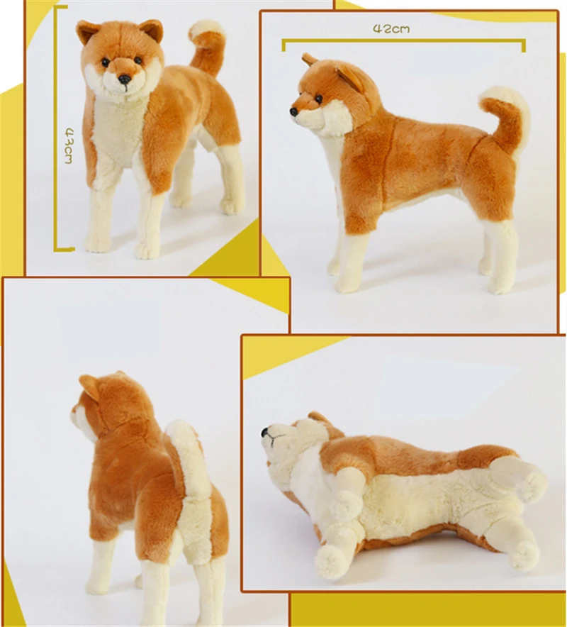 puppy dog7