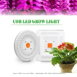 Растет свет завод полный спектр светать COB Led 100 W Водонепроницаемый IP67 растут лампы для растений Крытый Открытый Цветок гидропоники