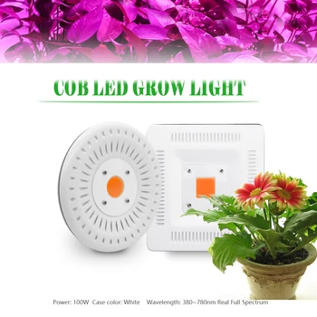 

Led Grow Light Full Spectrum Plant Grow Light COB Led 100W waterproof IP67 grow lamp for Plant Indoor Outdoor Flower Hydroponic