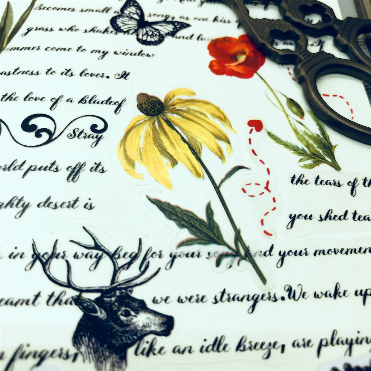 31pcs Hand Drawing Vintage Handbook Decoration Tn Small Size Retro