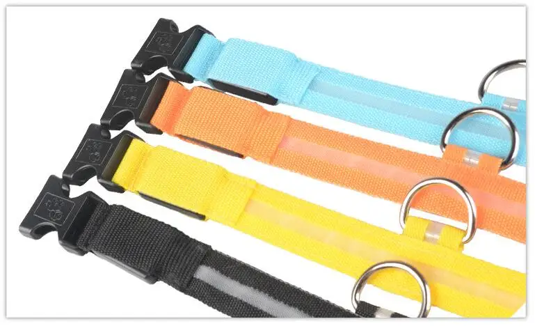 dog collar 1 (6)
