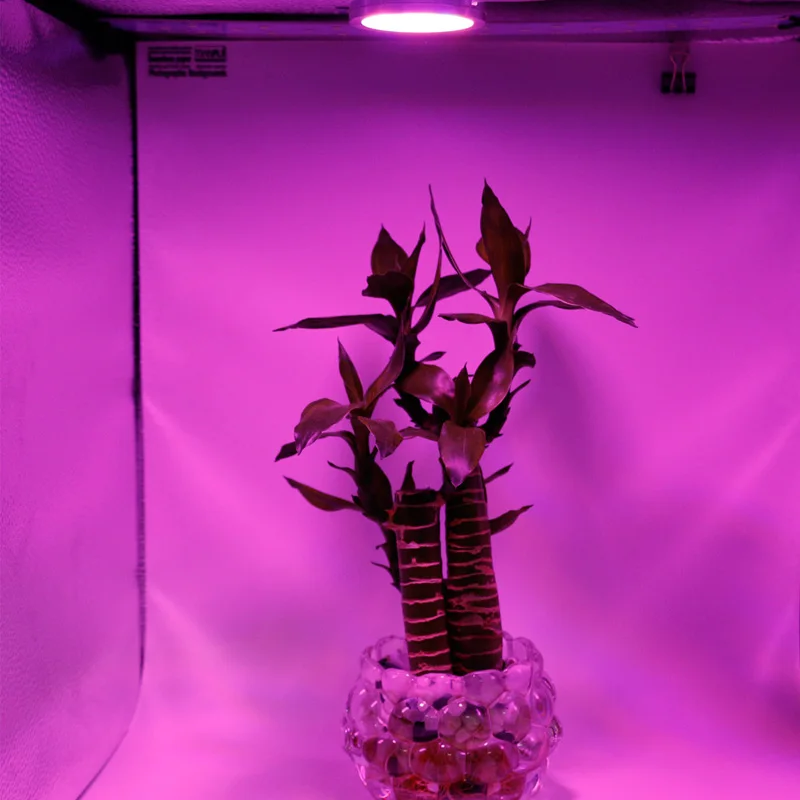 usb led grow lamp