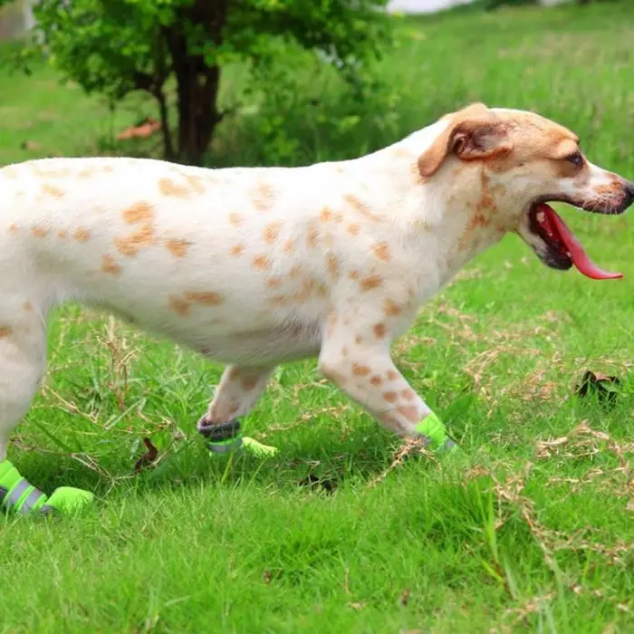 4pcs Dog Shoes Breathable Soft Relective Bandage Paw Boots for Walking E2S