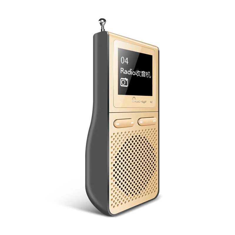Hi Fi плеер со встроенным динамиком может играть 100 часов динамик IQQ A2 londspeaker mp 3 с