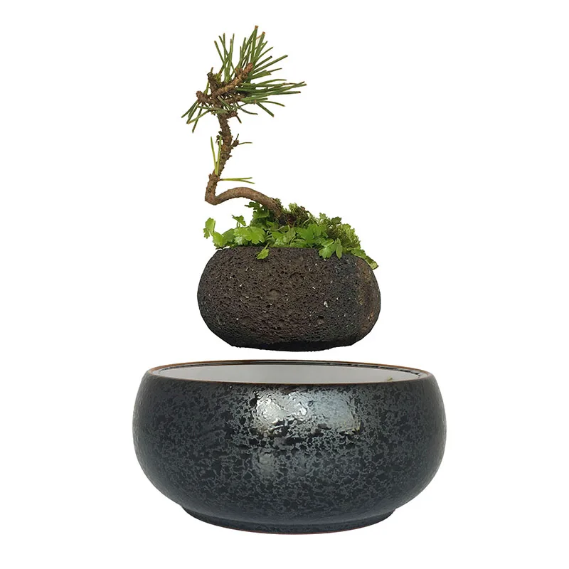 2017 magn 233 tique l 233 vitation plante en pot flottant air bonsa 239 arbre pot jardin cadeaux pour 2017 magn 233 tique l 233 vitation plante en pot flottant air bonsa 239 arbre pot jardin cadeaux pour