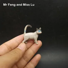 Маленькая кошка рано Head Start обучение игра модель игрушки детей