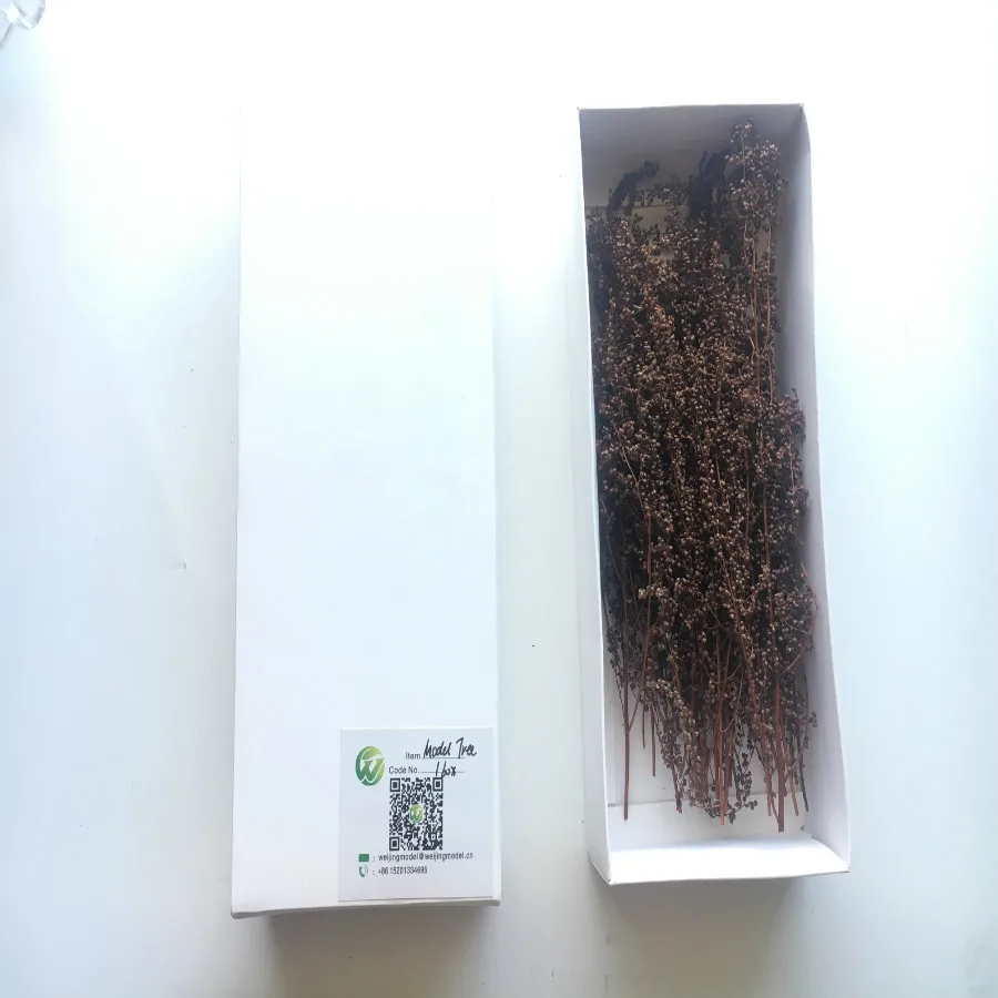 architecture model tree grass model (4)