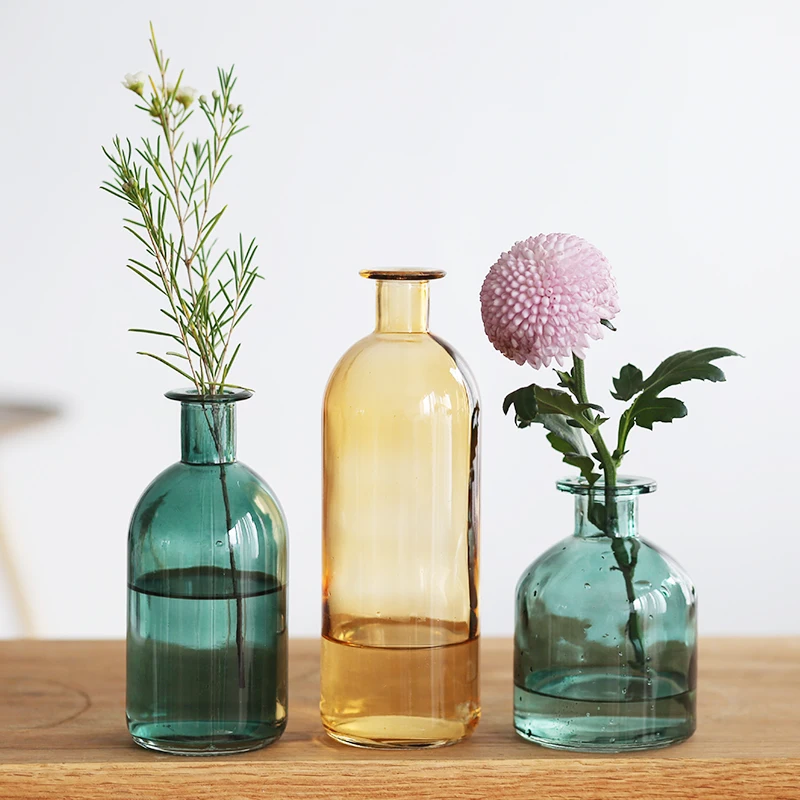 INS Small Mouth Glass Transparent Vase Nordic Wind Dried Flower Vases Japanese Home Wedding Decoration Colorful Flower Vases