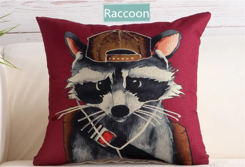 Raccoon