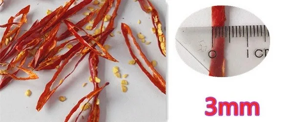 (}$([KE]IT96H9S}F]}{SE9