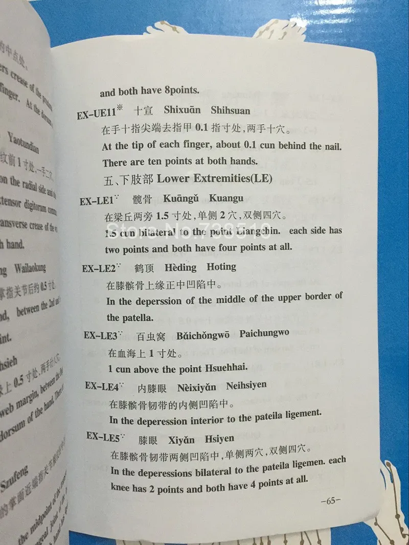 Acupuncture Model 50cm Male female with Base Human acupuncture meridia