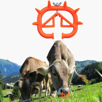 

5PCS Calf Cattle Weaning Nose Ring Thorn Orange Plastic Nose Sting Livestock Equipment