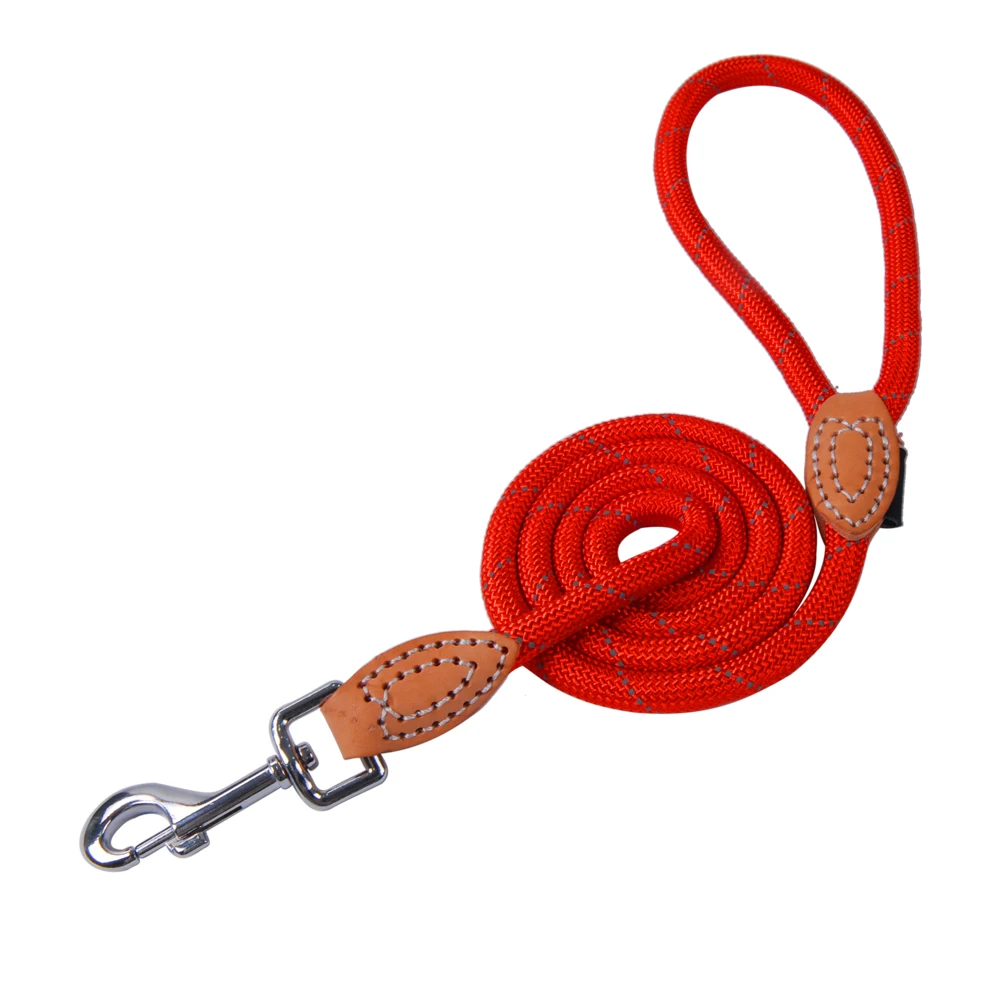 Dog Leashes For Dogs Outdoor Training Leash For Small Dog Puppy Leash Control Rope Durable Nylon Leads For Pet Dog Leash PY0229 (1)
