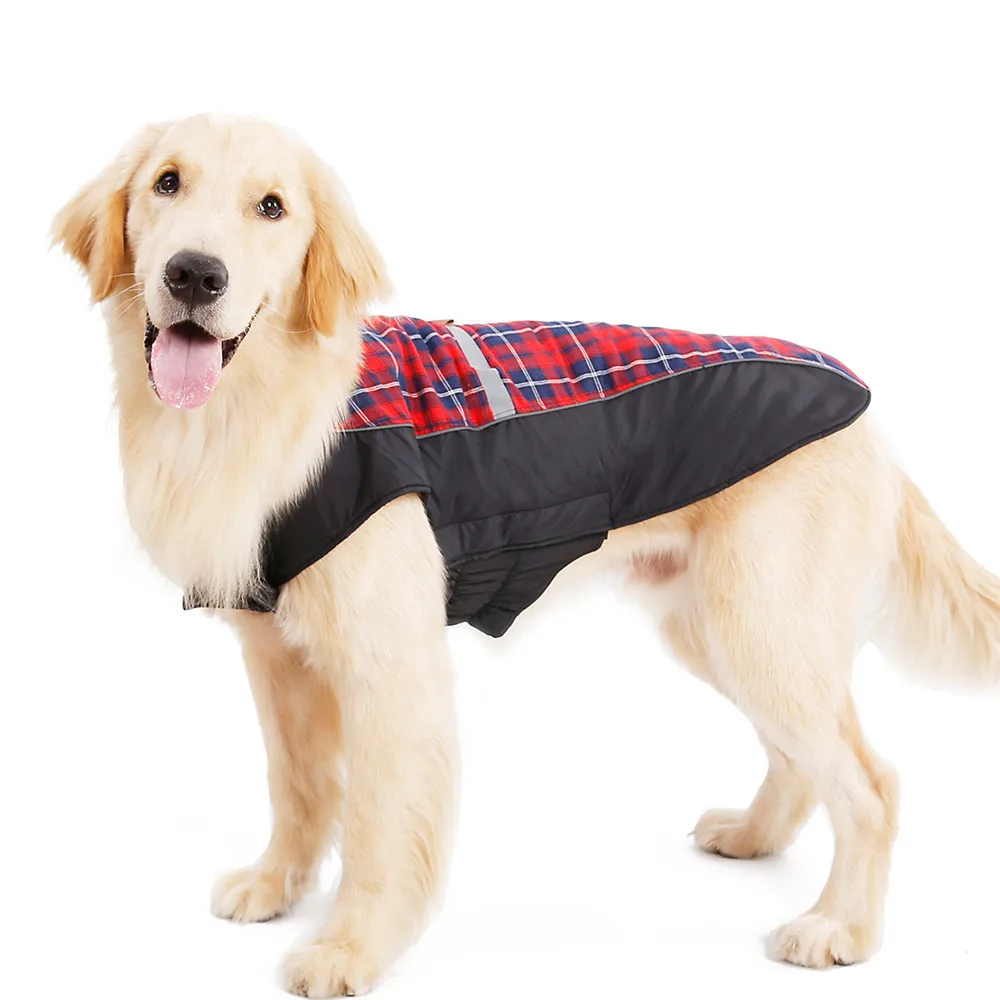 Dog Clothing (2)