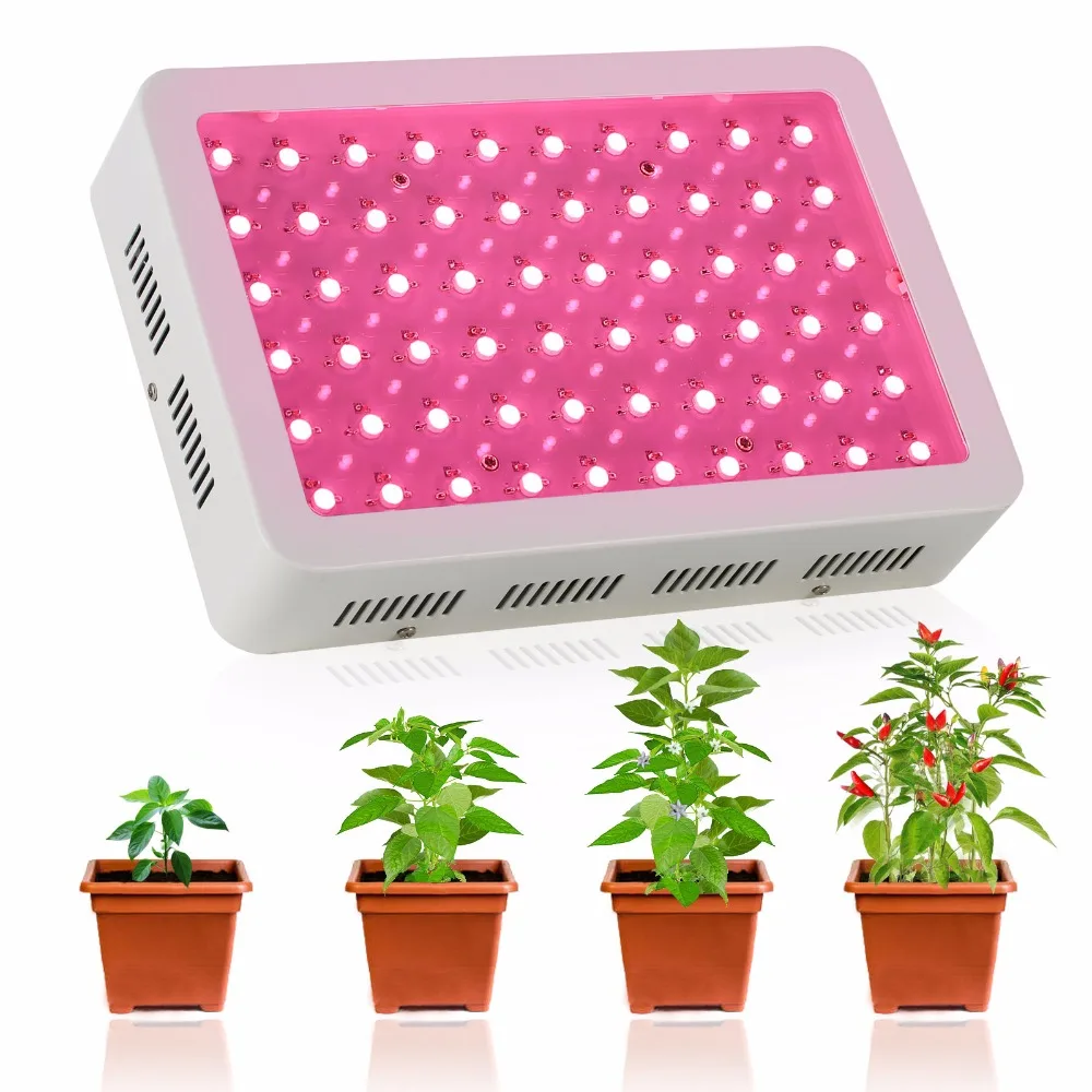 Best Full Spectrum 300W/60X5W led grow light for personal hydroponics