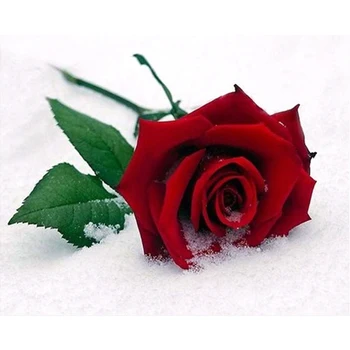 

DIY square diamond painting cross stitch Needlework diamond mosaic red snow rose diamond embroidery Home decoration #BR71