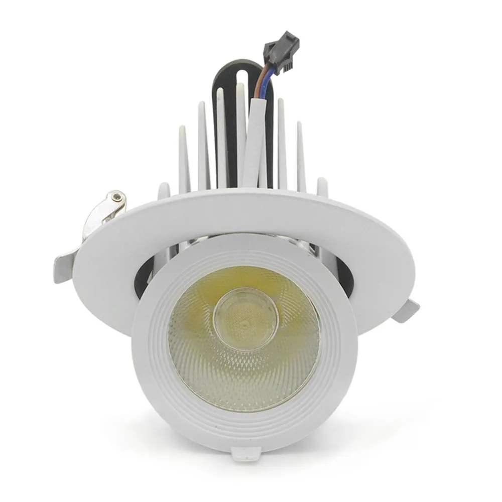 LED Downlights  (2)
