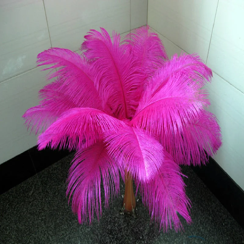 

Free shipping 100 PC beautiful natural Mei red ostrich feathers 30 to 35cm / 12 to 14 inches
