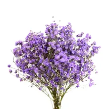 Засушенные цветы букет ДОМА меблировка ваза украшения гостиной спальня украшения Гипсофила вечный цветок