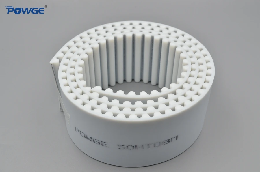 do dente arco plutonio 8m 8m 03