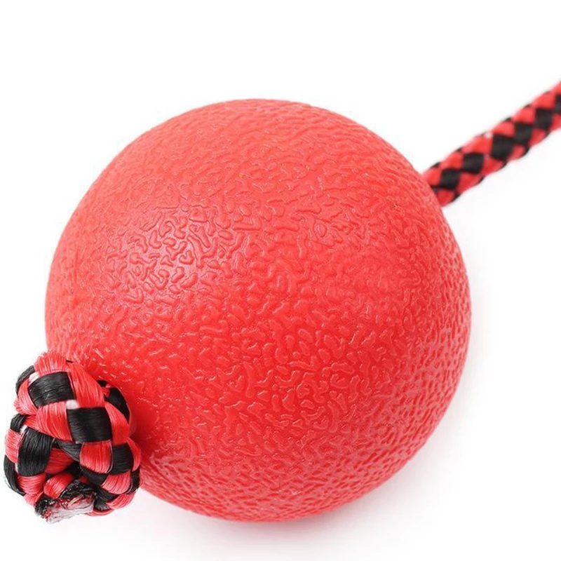 Indestructible Dog Ball Pet Puppy Tug Balls Training Toys Pet Chew Toys Small Size Solid Rubber Balls with Rope New Arrival