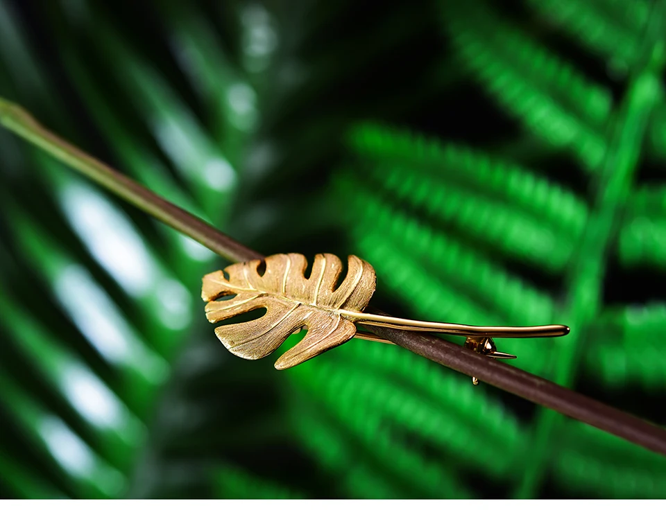 LFJK0042-Monstera-Leaves_05