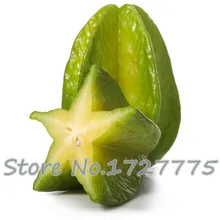 5 шт./партия семена карамбола(Звездные фрукты), нетрансгенные семена для домашнего сада,, семена вкусных фруктов на продажу