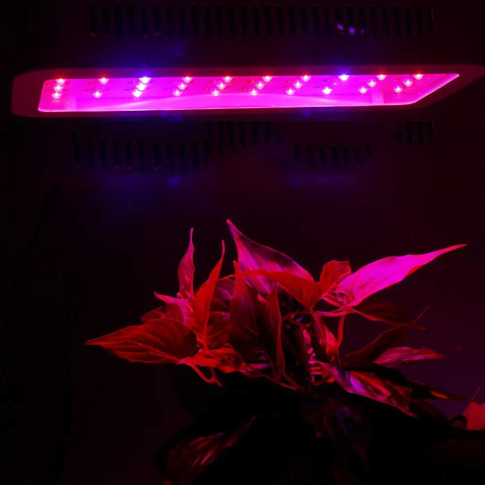 Светодиодный растет свет 300 Вт полный спектр высокой мощность Светодиодная лампа для выращивания растений панель для внутреннего Vegs