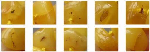 amber baby necklace (7)