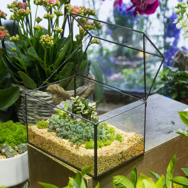 Gl Terrarium House Architectural Designs Gl Terrarium House Home Ideas