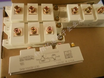 

SKM100GB123D SKM100GB173D