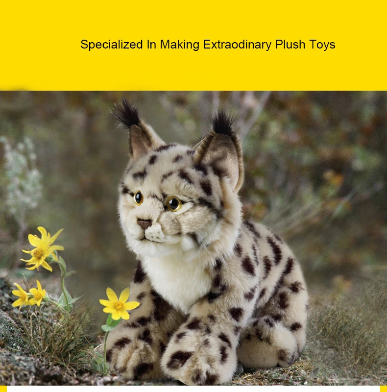 4433520197_2076369807