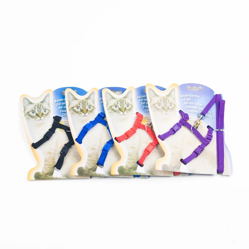 6 pet collar 