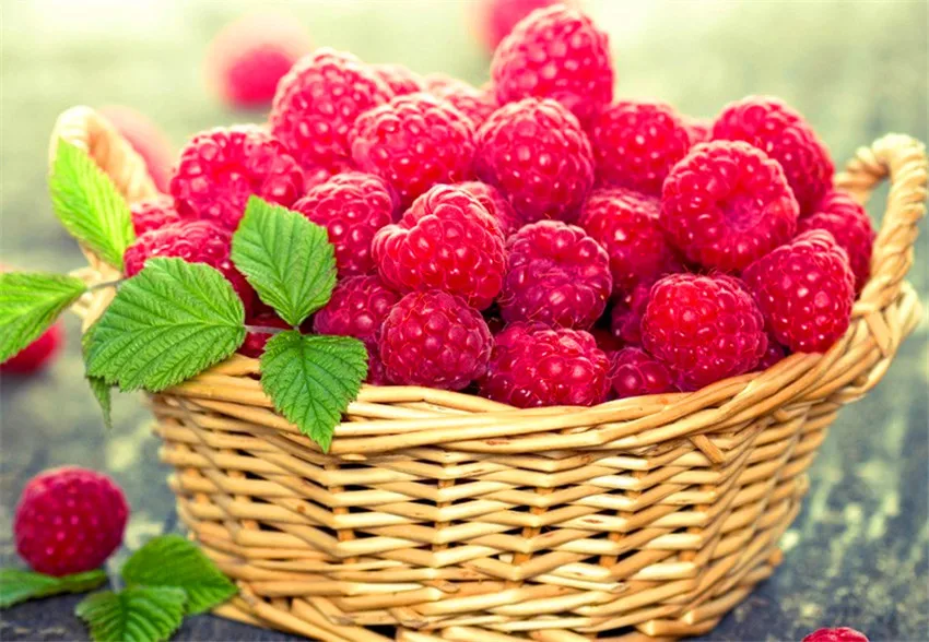 3D DIY Diamond Painting Set Diy Cross Stitch Full Embroidery Home Needlework Baskets fruit SG9 | Дом и сад
