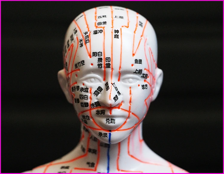Человек китайско-английский тело Акупунктура точка модель Меридиан модель акупунктуры точек 26 см/48 см/50 см для мужчин и женщин
