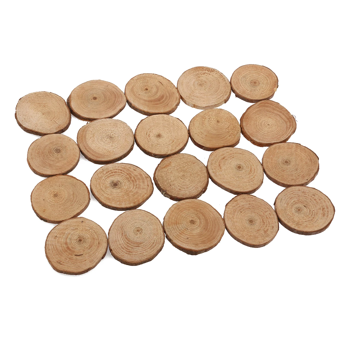20pcs Wood Log Slices Discs Round Large Wood Disks Crafts Paint Decor