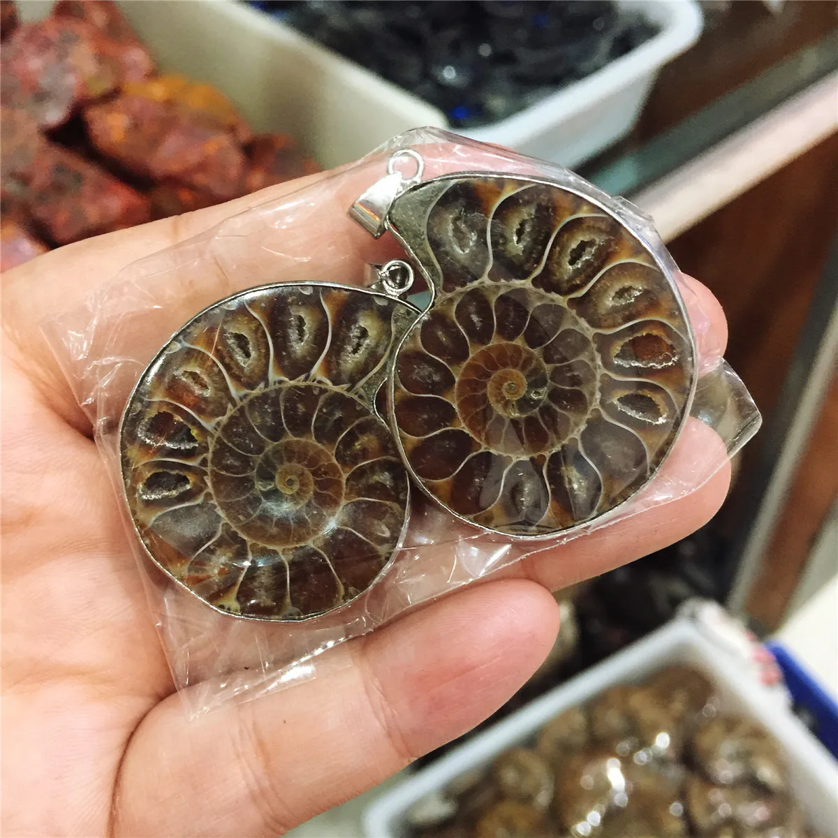 100 pcs of Split Ammonite crystal Specimen Shell Healing Madagascar 20180402