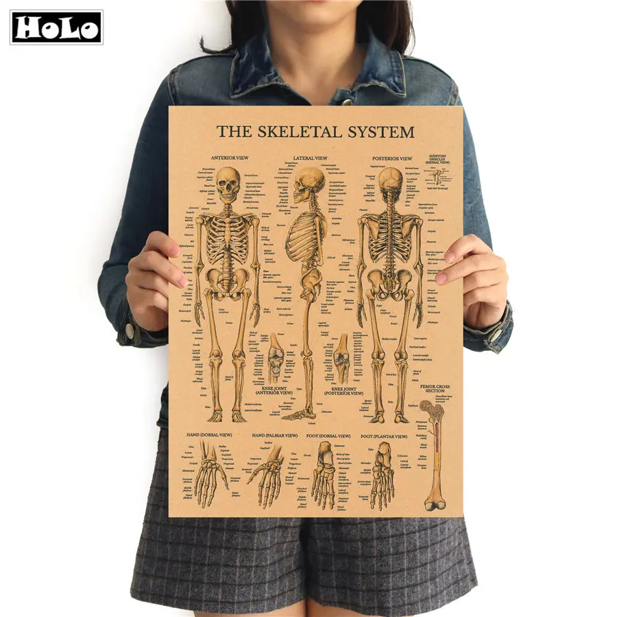 Винтажный бумажный постер The Skeleton of Body структура HD домашний декор для бара ретро